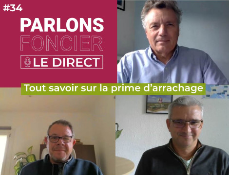 Webinaire Parlons foncier - le Direct - Affiche intervenants Guilhem VIGROUX et Hervé FLAMENT. Tout savoir sur la prime d’arrachage