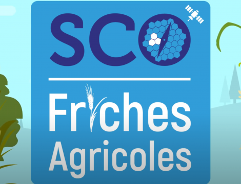 SCO friches agricoles